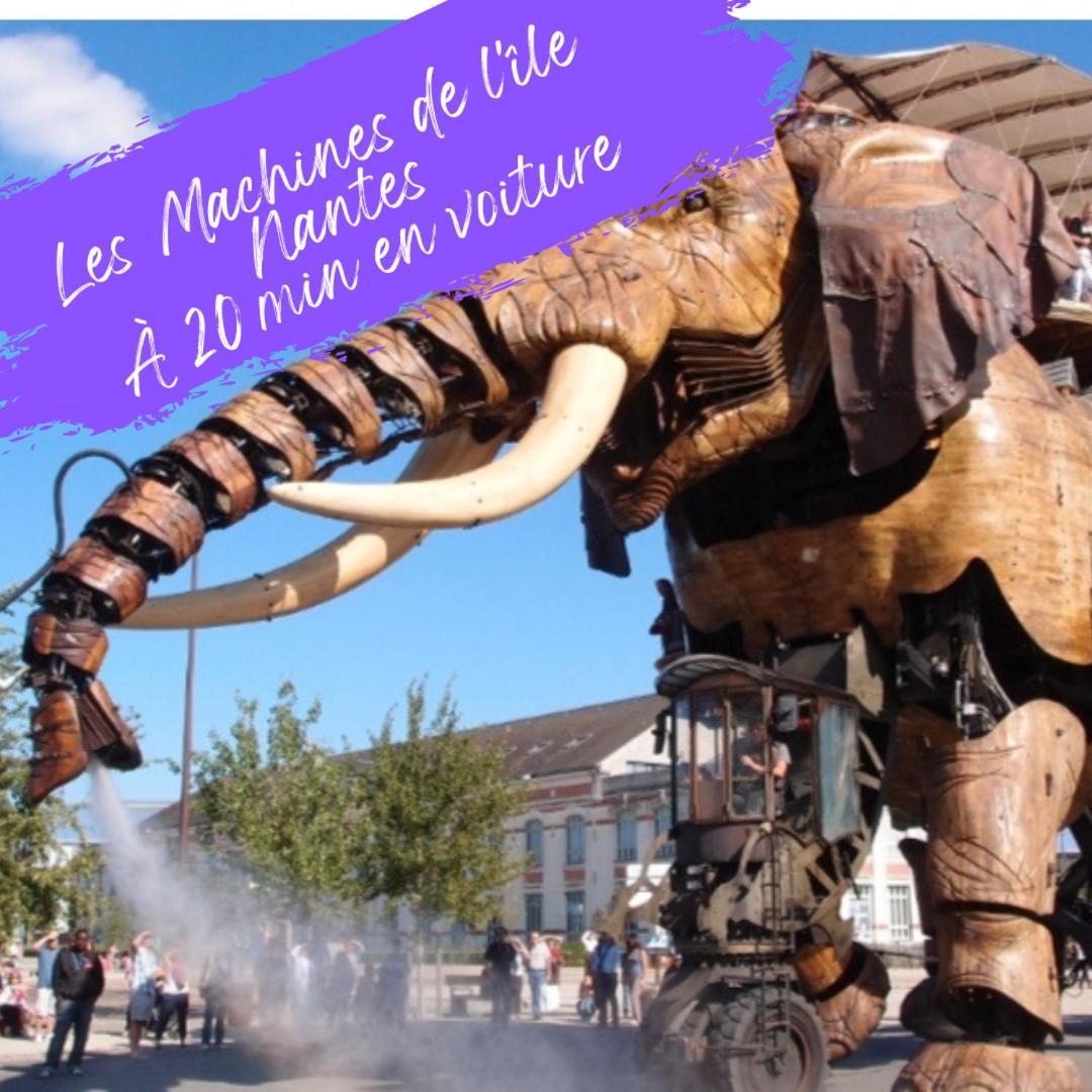 T2 , En Bord De Sèvre
